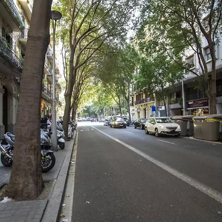 51flo1024 In Sant Antoni Apartament