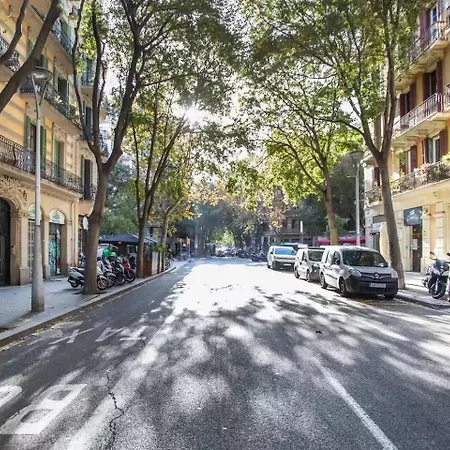51flo1024 In Sant Antoni *