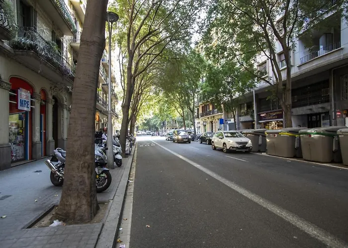 Apartamento 51flo1024 -well Located In Sant Antoni Barcelona